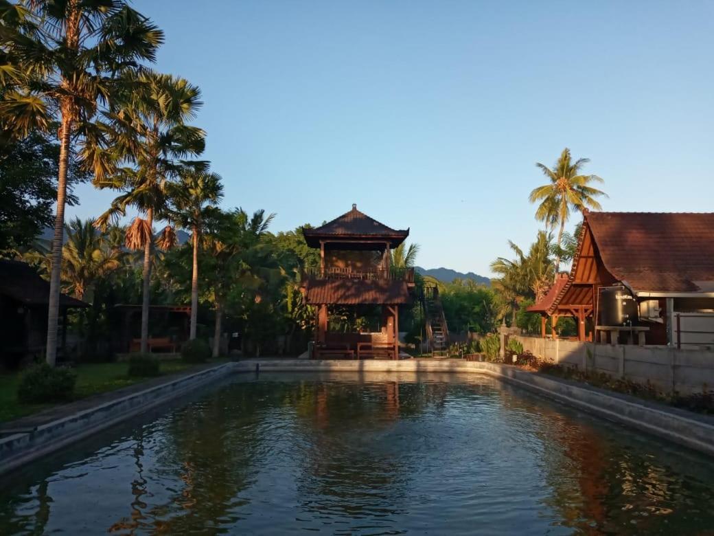 Buana Ecofarm Ecolodge Grokgak Kültér fotó